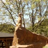 Meerkat lookout at Exmoor Zoo