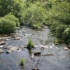 Riverside walks from Dartmeet, Devon