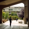 Walking underneath the archway of the Roger Stevens Building.