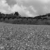 Branscombe Beach