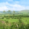 Longridge Fell, Ribble Valley