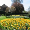 Flowers at The Vyne