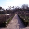 Lost Gardens of Heligan, Mevagissey, Cornwall