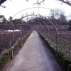 Lost Gardens of Heligan, Mevagissey, Cornwall