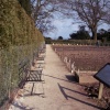 Lost Gardens of Heligan, Mevagissey, Cornwall