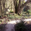 Lost Gardens of Heligan, Mevagissey, Cornwall