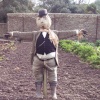 Lost Gardens of Heligan, Mevagissey, Cornwall