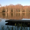 Hammer Ponds near Slaugham in West Sussex