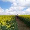 Nr Binbrook, Lincolnshire