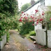 Gilbert Bank, Woodley