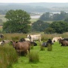Farming in the Hodder Valley, Lancashire