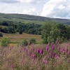 Near Slaidburn, Hodder Valley, Lancashire