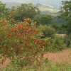 Gisburn Forest, Hodder Valley, Lancashire