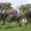 Walking near West Bradford, Lancashire