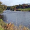 Autumn, River Ribble near West Bradford, Lancashire