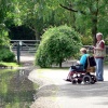 Wildfowl & Wetlands Trust Martin Mere - Easily accessible by all