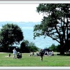 A picture of Royal Victoria Country Park