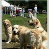 A picture of Royal Victoria Country Park
