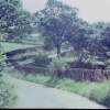 In and around Bolton Abbey. 1978