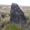 Three-Quarter Stone. Dartmoor