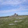 Lynch Tor. Dartmoor