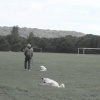 Clevedon Town Jnr football field joins river walk