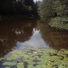 MICHELIN ANGLING CLUB, NETHERWOOD ROAD, HEASANDFORD, BURNLEY JUNE 2005