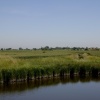Towards Churchend Village, Foulness Island, Essex