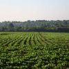 Around the Don Valley at Sprotbrough