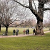Kensington Park