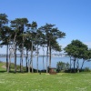 Roundham Gardens, Paignton with Torquay in the distance.