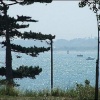 Southampton water from R.V.Country Park 23.6.05