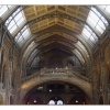 Entrance hall of the museum of natural history in London