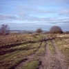 Looking toward Stafford