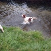 River Marden at the cycle/walkway in Calne, Wiltshire