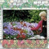 The flowers in England are more beautiful than anywhere else in the world. London