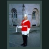 A royal horse guard in London