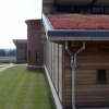 Brading Roman Villa sedum roof