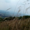Wrekin
