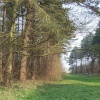 Swallow Vale in lovely Lincolnshire
