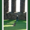 Walking in the evening shadows of Bolton Abbey