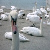 A picture of Littlehampton