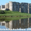 Carew Castle