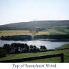 Looking at the woods and Darwen Tower