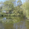 Lake Carter