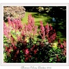 Flowers by one of the lakes at Exbury