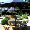 Cool afternoon tea at Exbury?