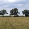 Binbrook Top Farm, Binbrook July 15th 05
