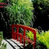 Red bridge, japanese garden, Stapehill.