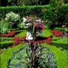 The cottage garden Stapehill